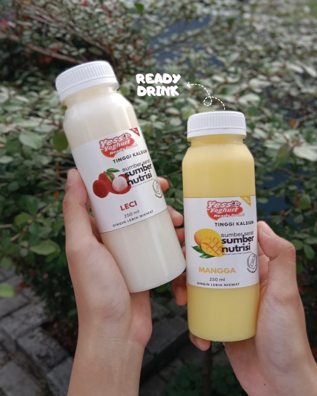 Dua botol Yess! Yoghurt di atas meja